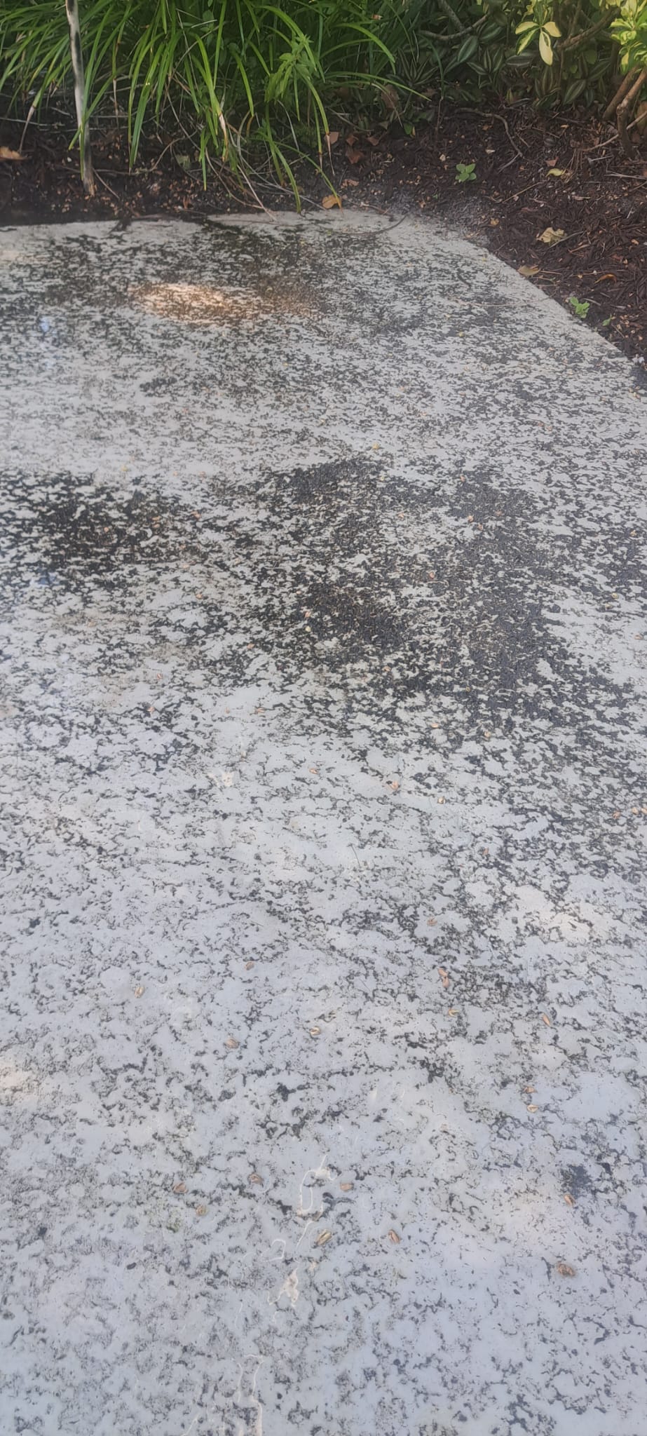 2aa20e78-436f-48ec-b34a-a54aa51229c1