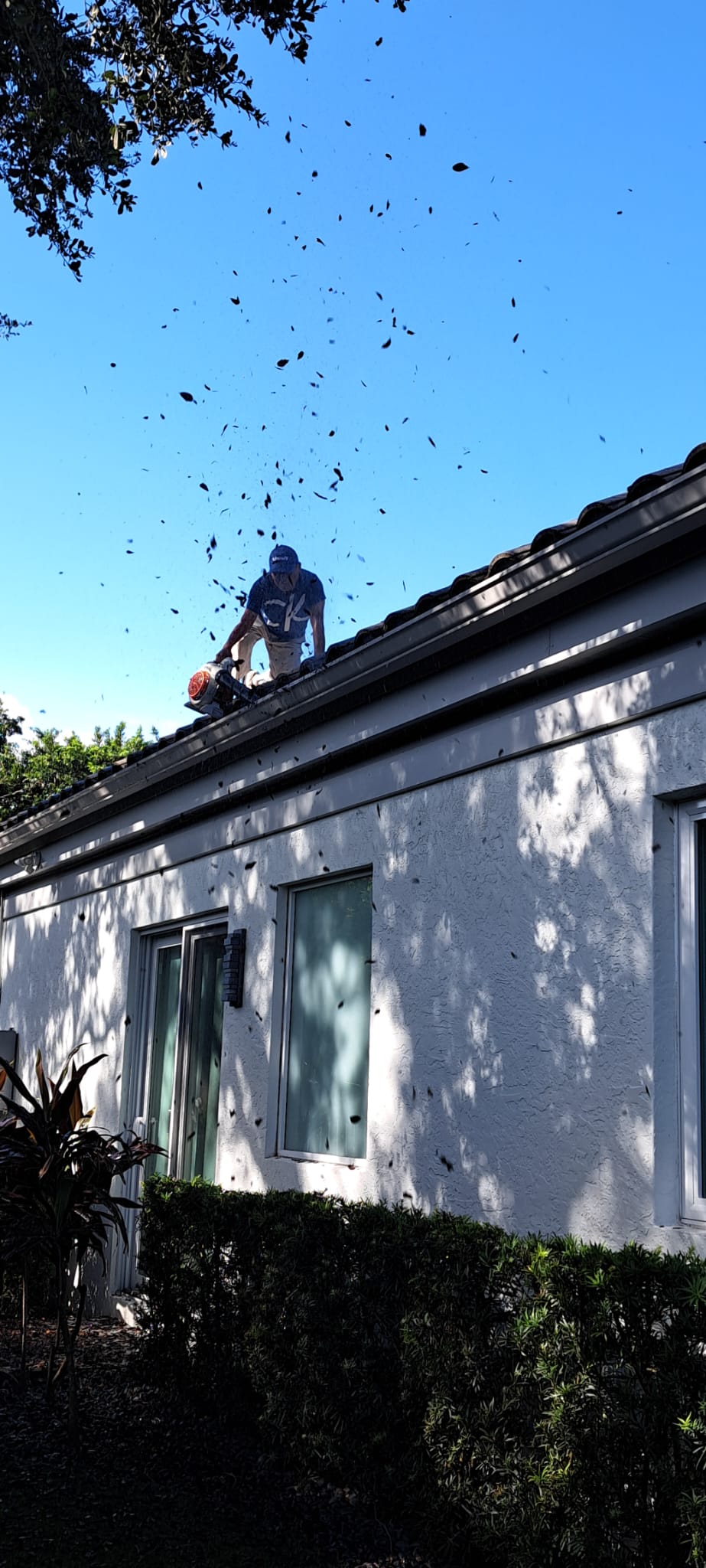 3a6373d9-1755-4ee7-a168-85c151f6e348