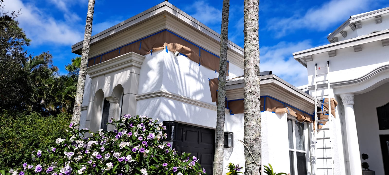 WhatsApp Image 2024-03-19 at 10.34.42 AM