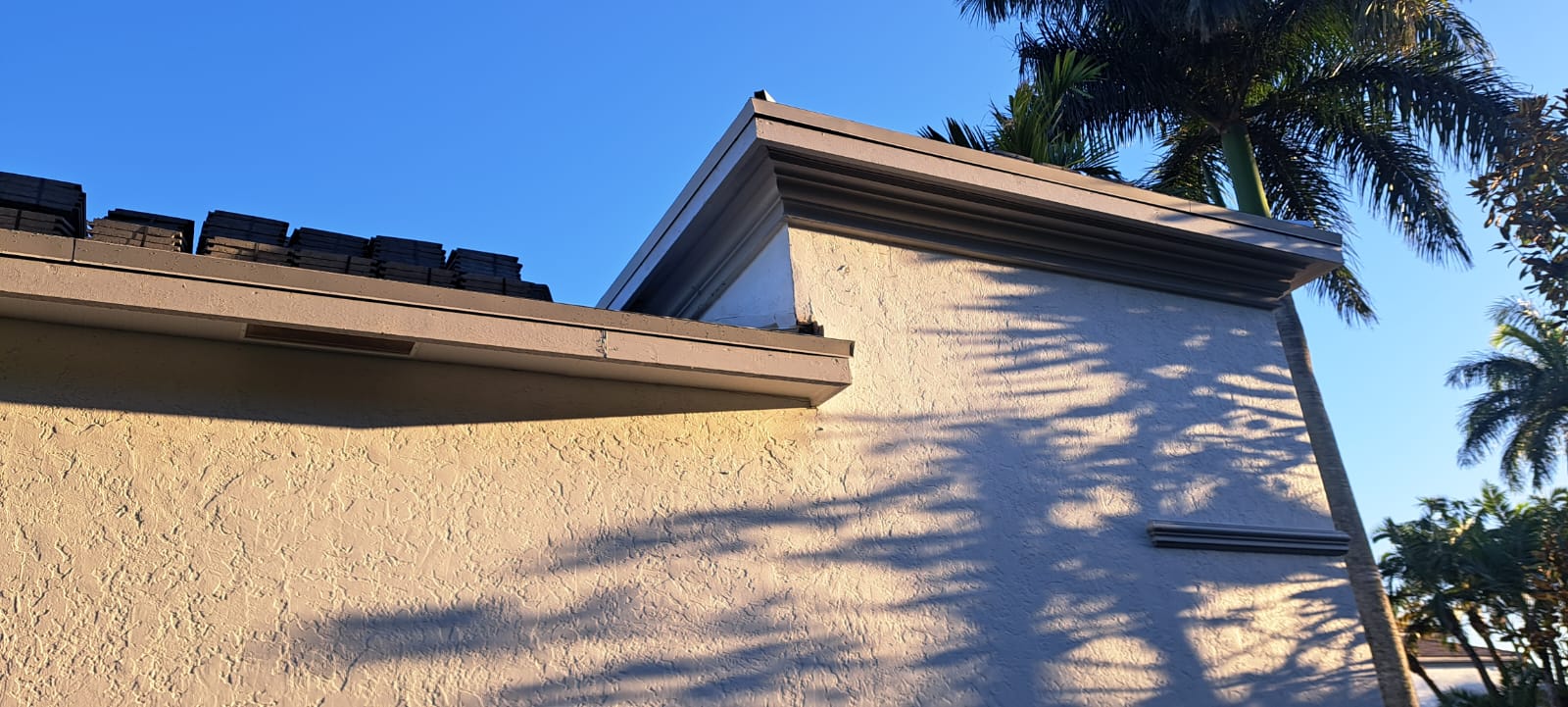 WhatsApp Image 2024-03-19 at 10.34.51 AM