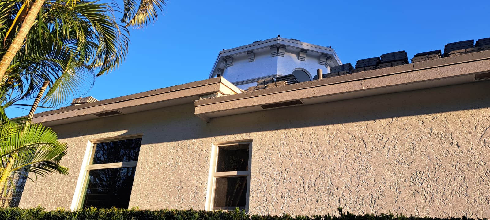 WhatsApp Image 2024-03-19 at 10.34.53 AM