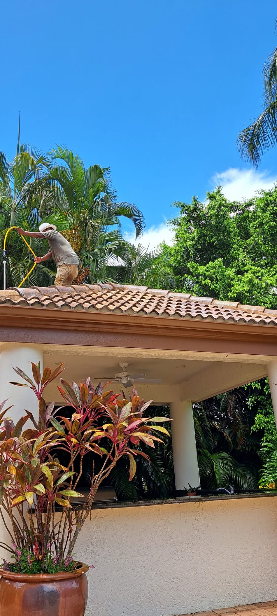 c1c0f7ac-da71-4801-b755-6353e781642c