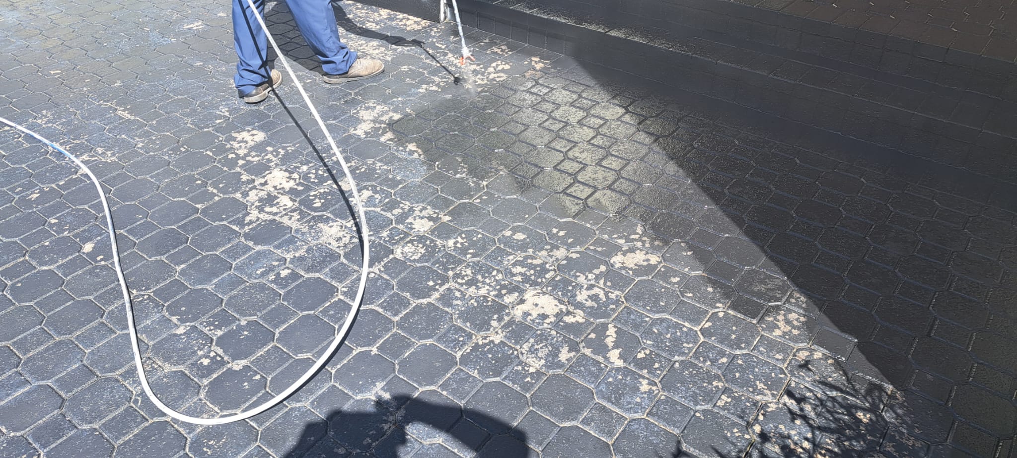 d939ea93-8f57-4e82-930e-7a5e100ecdda